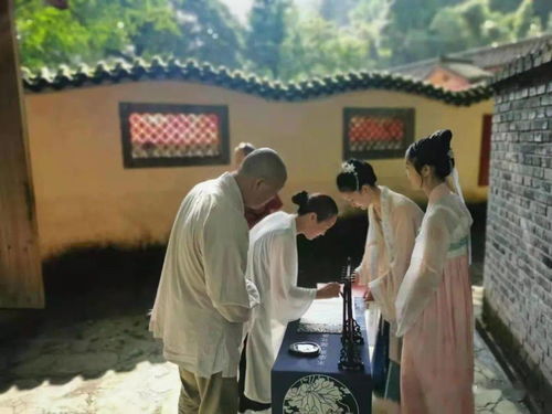 書院雅集丨辛丑年傳統文化藝術雅集孟夏之約暨首屆傳統文化大家談主題論壇活動在趙公山成功舉辦